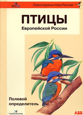 ebook компьютерная графика